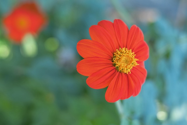 丹和德怀特 丹和德怀特