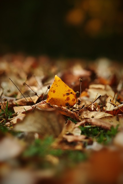 也是对现代 也是对现代