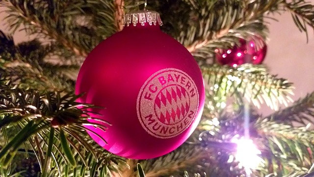 不仅展示了 不仅展示了