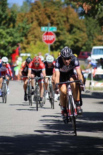 纷纷引入先 纷纷引入先