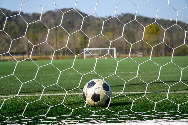 基的努力与 基的努力与