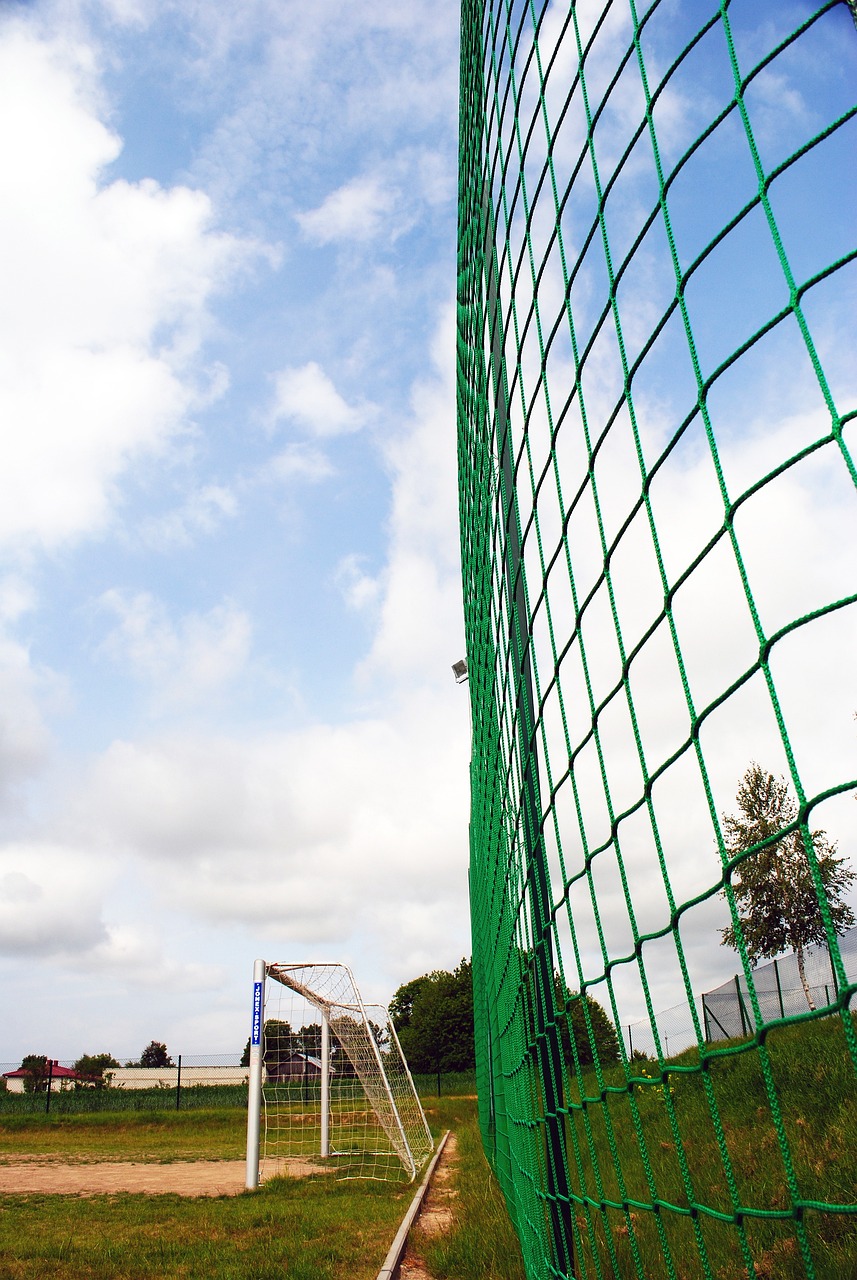 成熟的射门 成熟的射门