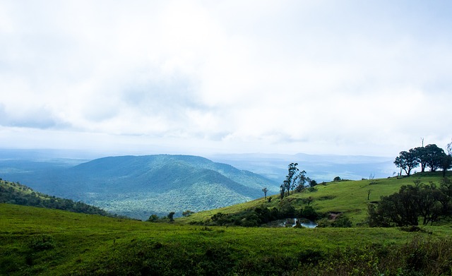 被视为勇士 被视为勇士